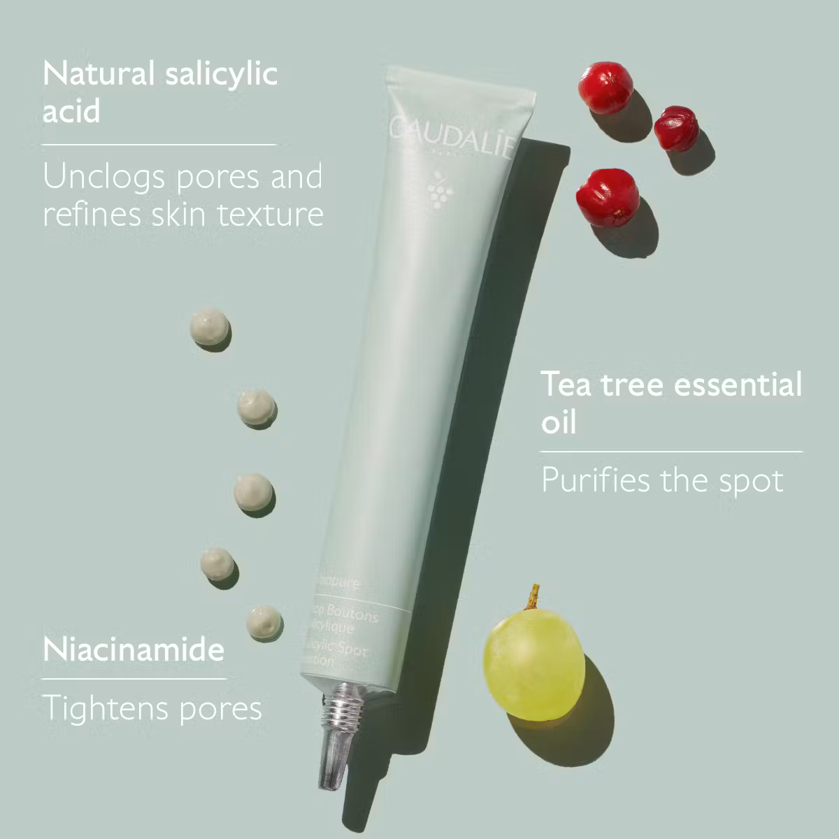 4_vinopure_stop-bouton_ingredients_caudalie-en